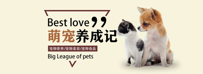 冷门我的世界在线观看
